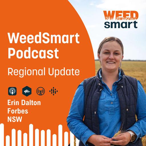 Regional Update - Erin Dalton, Forbes, NSW