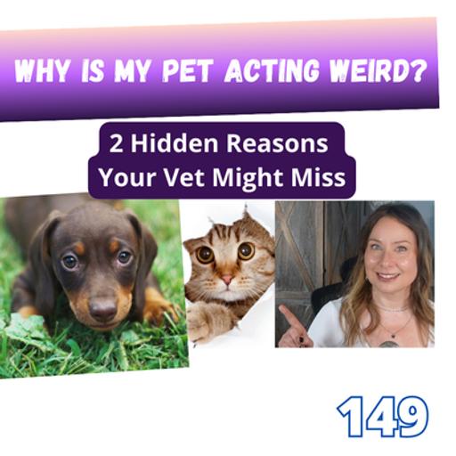 Animal Communicator Reveals Reasons Behind Your Pet's Puzzling Behavior | 149
