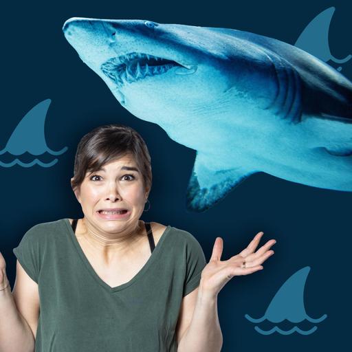 Haie - Gefürchtete und gefährdete Jäger der Meere