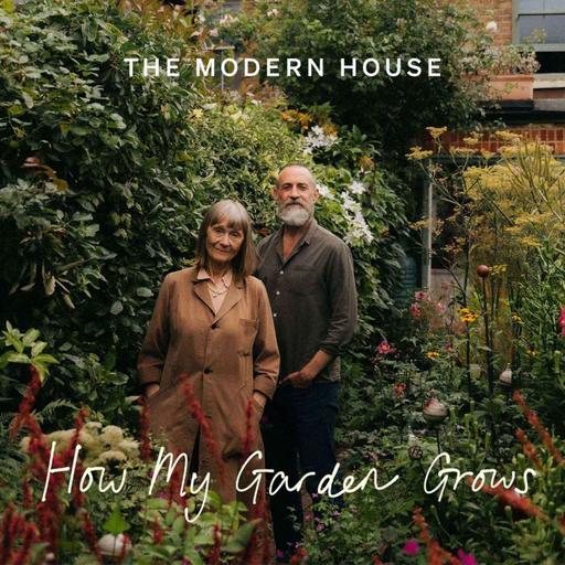 How My Garden Grows: A pint-sized coastal plot thickly cloaked in climbers