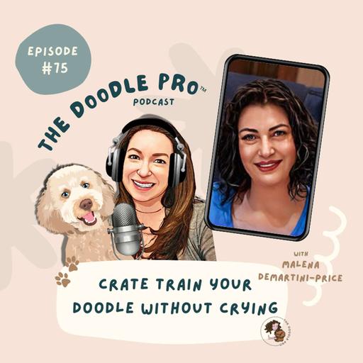Ep 75: How to Crate Train Your Doodle Without Crying: Comfort Tips with Malena DeMartini Price (Part 2)