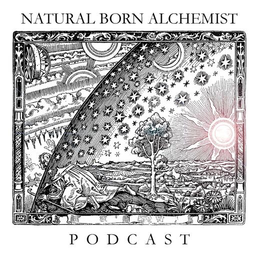 Episode 353: scott van buren