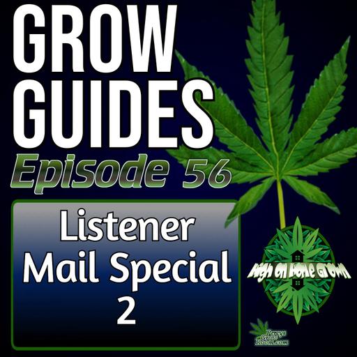 Listener Mail Special: SIP Pots, Cannabis Myths, Under-Canopy Lighting, Cannatrol Drying & Decriminalisation vs Legalisation | Cannabis Grow Guides Episode 56