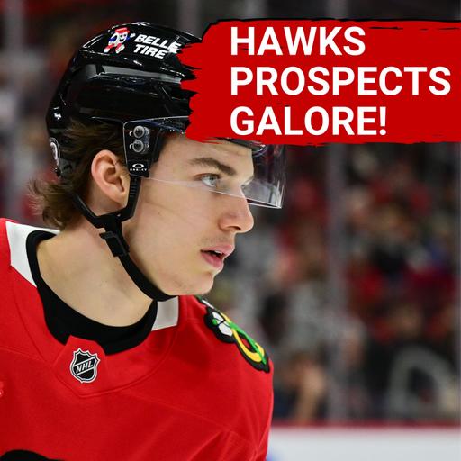 Chicago Blackhawks DOMINATE U23 NHL Prospects List | Top 25 NHL Goalie Prospects