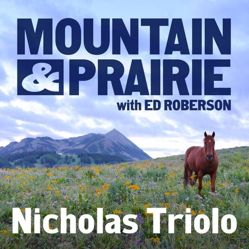 Nicholas Triolo – What the Circuitous Path Reveals