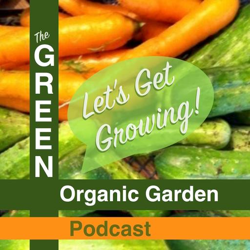429. Five Reasons You Should Build A Kitchen Garden