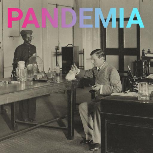 Pest (4) | Der unberühmteste Mann