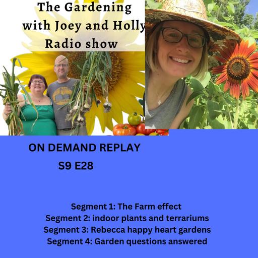 Episode 1463: S9E28 The Farm effect, indoor plants and terrariums, guest Rebecca of happyheartgardens - The gardening with Joey and Holly Radio Show