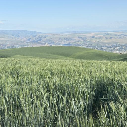 On Farm Trials ft. Allen Druffel