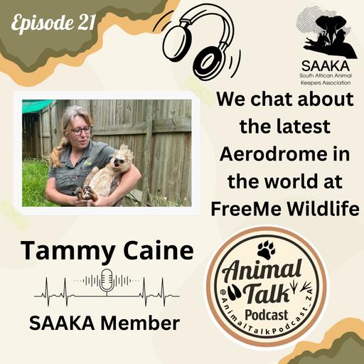 Episode 21 "Largest Aerodrome in the world" (with Tammy Caine)