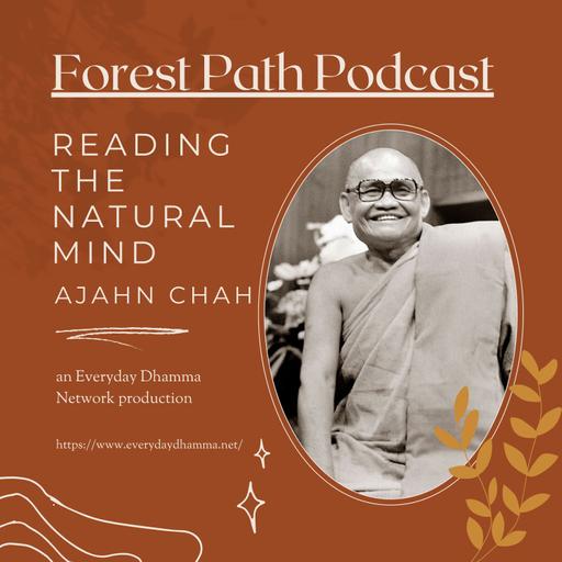 Reading the Natural Mind | Ajahn Chah