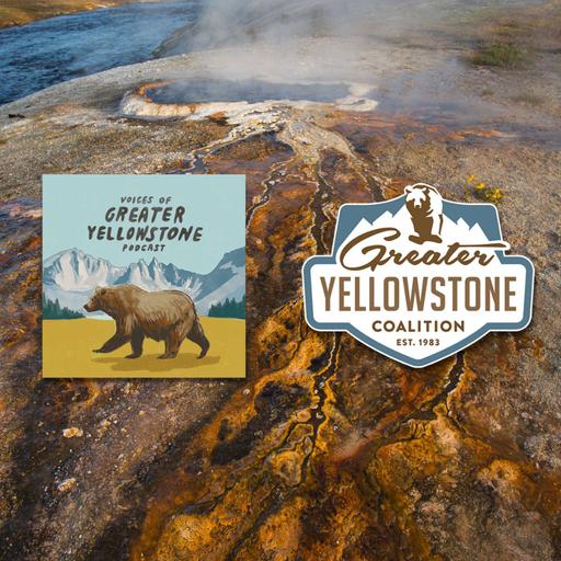 Thermophiles: Life in Yellowstone's Geothermal Features (Part 2)