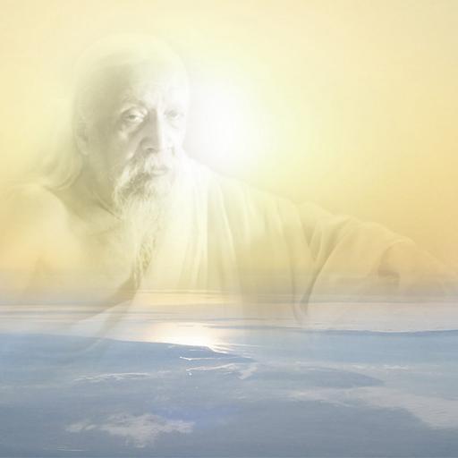 Essays on the Gita - The Divine Worker