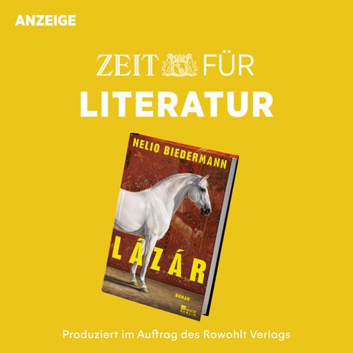 ZEIT für Literatur mit Nelio Biedermann