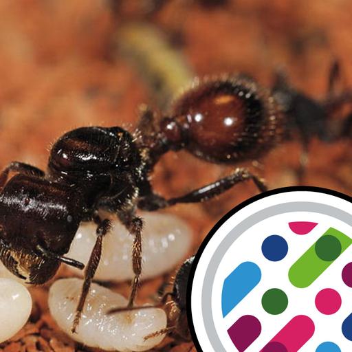 Ants doing gene therapy, and tadpole microbiomes