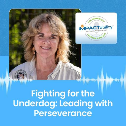 Fighting for the Underdog: Leading with Perseverance