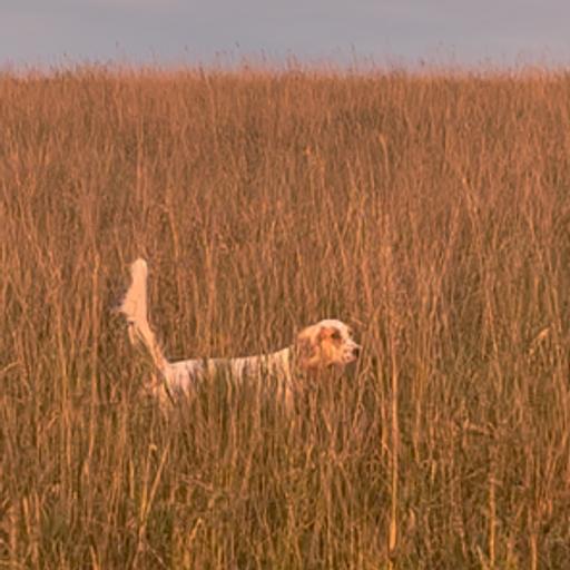 Montana Opener with Lars Anderson and Crispi USA