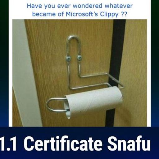 SN 1042: Letters of Marque - 1.1.1.1 Certificate Snafu