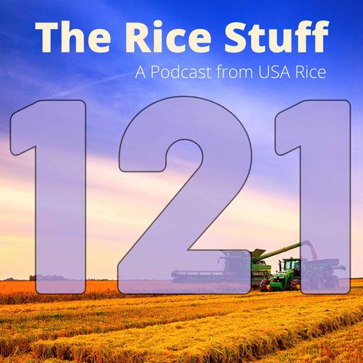 #121 Rice Delphacid Threatening