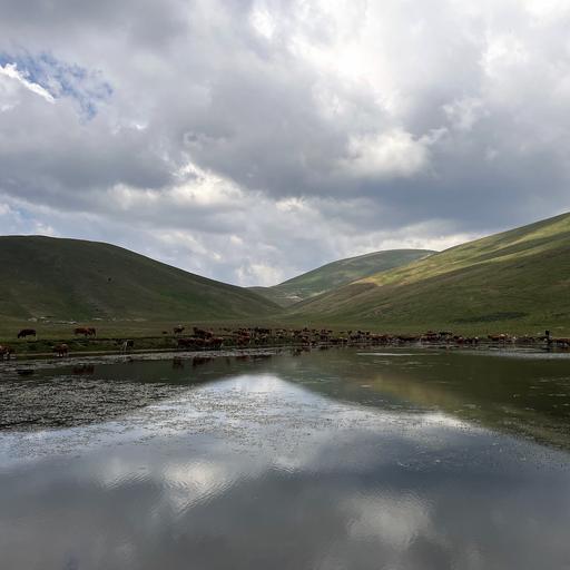 ‘Little Tibet’, Parco nazionale d’Abruzzo, Lazio e Molise, Italy in June 2025 – by Cosmin Sandu