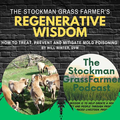How To Treat, Prevent and Mitigate Mold Poisoning By Will Winter, DVM