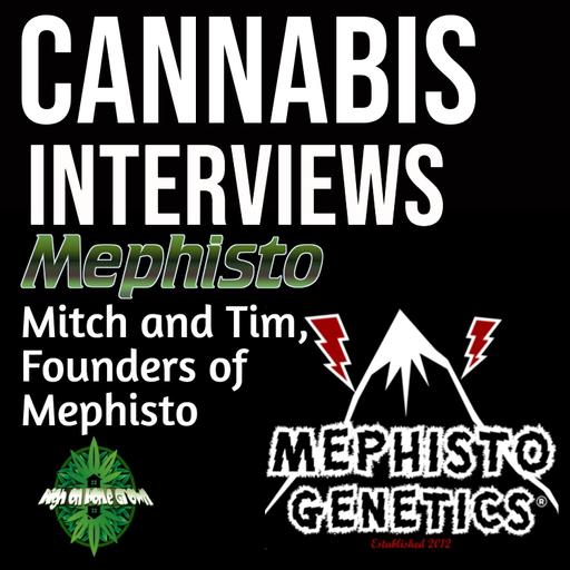 Award Winning Autoflower Breeders, Mitch and Tim from Mephisto Genetics!