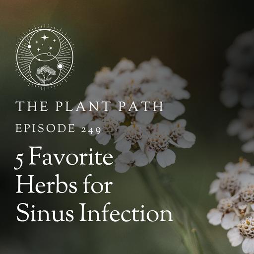 5 Favorite Herbs for Sinus Infection