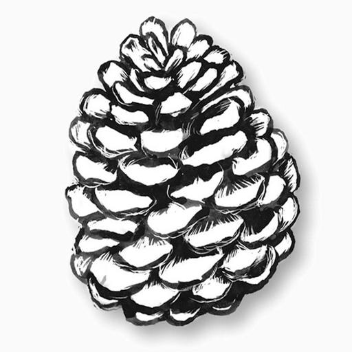 September's Slow Roll