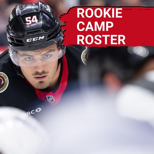 Ottawa Senators Rookie Camp Roster Set, Sens PK Projections + Organizational Value Rankings: 30-27