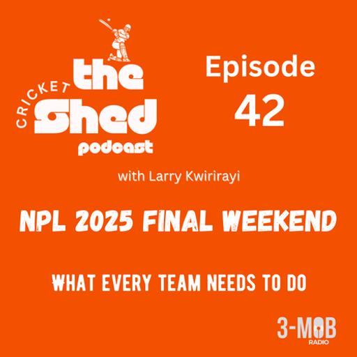 NPL 2025 finale scenarios for top 4, top 8 finishes