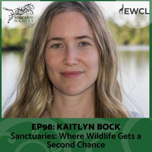 Sanctuaries: Where Wildlife Gets a Second Chance with Kaitlyn Bock, Ep.98