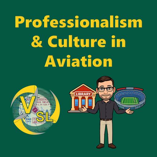 Professionalism and Culture in Aviation: Building a Safer Cockpit Environment