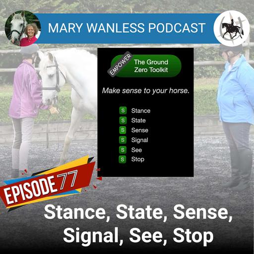 Ep. 77 Stance, state, sense, signal, see, stop