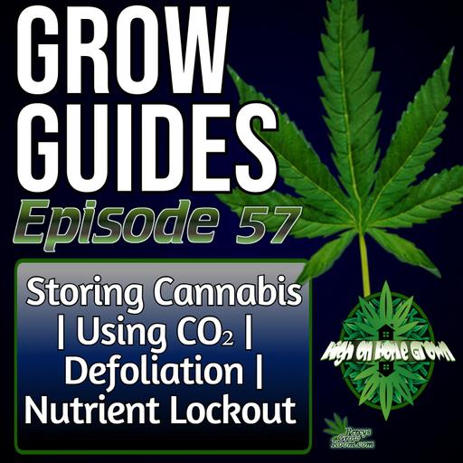 How to Store Cannabis, Use CO₂ Safely, Defoliation Tips & Fixing Nutrient Lockout, What are F1's and F2's etc, Best Cannabis Books | Grow Guides Ep. 57