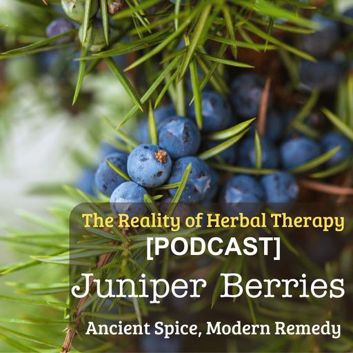 Juniper Berries: Ancient Spice, Modern Remedy