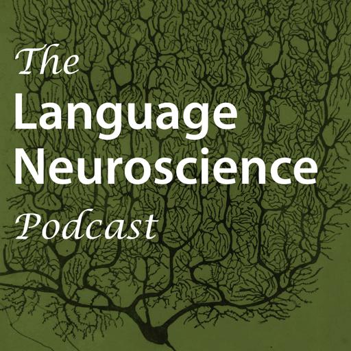 ‘Role for left dorsomedial prefrontal cortex in self-generated, but not externally cued, language production’ with Deborah Levy