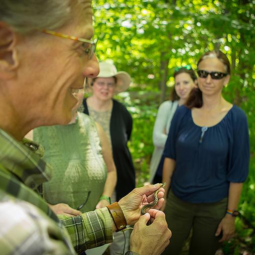 Ep. 75 - A Naturalist's Life (Part 2) - A "Hike" with Sandy Geffner