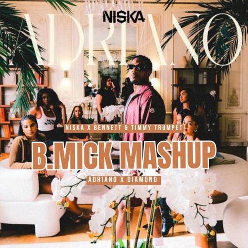Niska x Bennett & Timmy Trumpet - Adriano x Diamond (B.Mick Mashup)