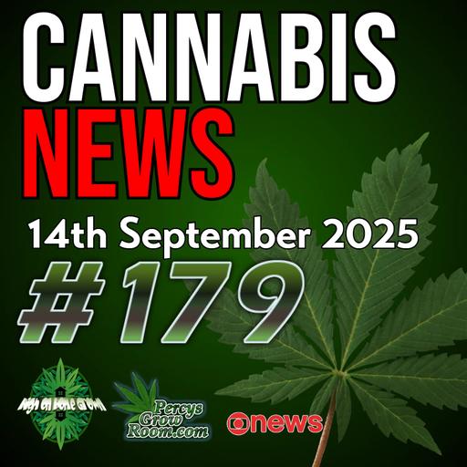 UK Cannabis Smugglers Jailed | German Legal Market Hits 90% | Barney’s Farm Merger Collapse | Snoop Dogg Invests in UK Clinic | Cannabis News Ep. 179