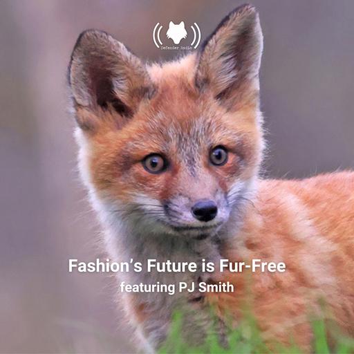 Fashion's Future is Fur-Free featuring PJ Smith