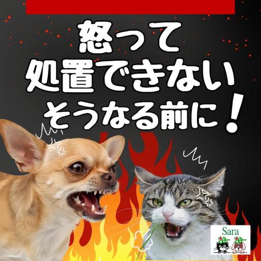 #1016. 犬猫・動物が怒って処置できない：そうなる前に！