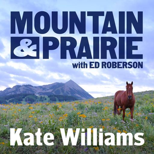 Kate Williams – Leadership Lessons from the CEO of 1% for the Planet