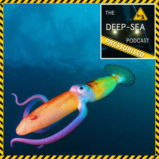 PRESSURISED: 062 – Mythbusting Ai with Tyler Greenfield