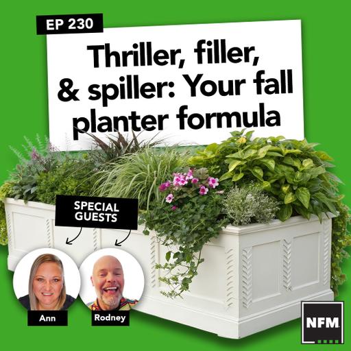 Thriller, filler, & spiller: Your fall planter formula