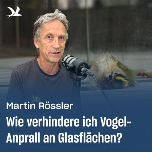 85. Wie verhindere ich Vogel-Anprall an Glasflächen?