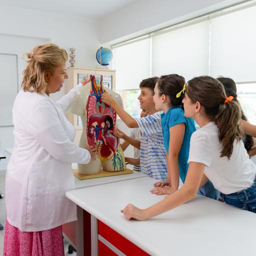 How To Fix Health Class