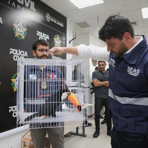 Brasilien: Mega-Operation gegen Wildtier-Schmuggel