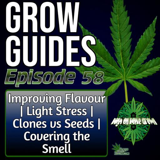 Improving Cannabis Flavour & Aroma, Light Stress, Clones vs Seeds, and Controlling Smells + Listener Mail | Grow Guides Ep. 57"