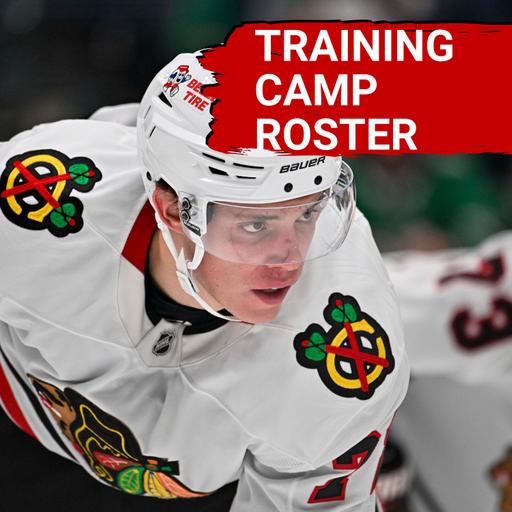 Chicago Blackhawks Training Camp Roster Breakdown | Lukas Reichel Trade Rumors