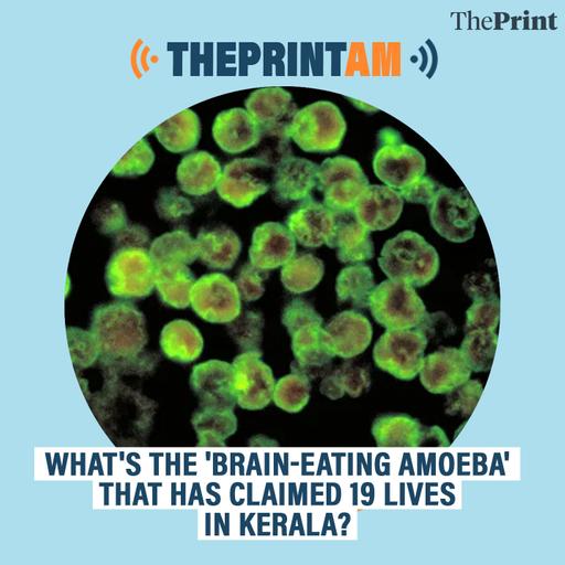 ThePrintAM: WHAT'S THE 'BRAIN-EATING AMOEBA' THAT HAS CLAIMED 19 LIVES IN KERALA?